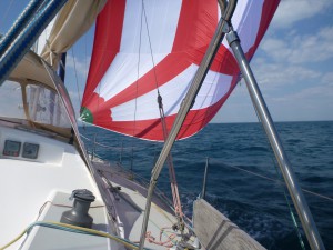 P1070890 - copie.JPG