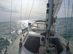 My Fox 24 avril 2015 sous pilote - copie.JPG