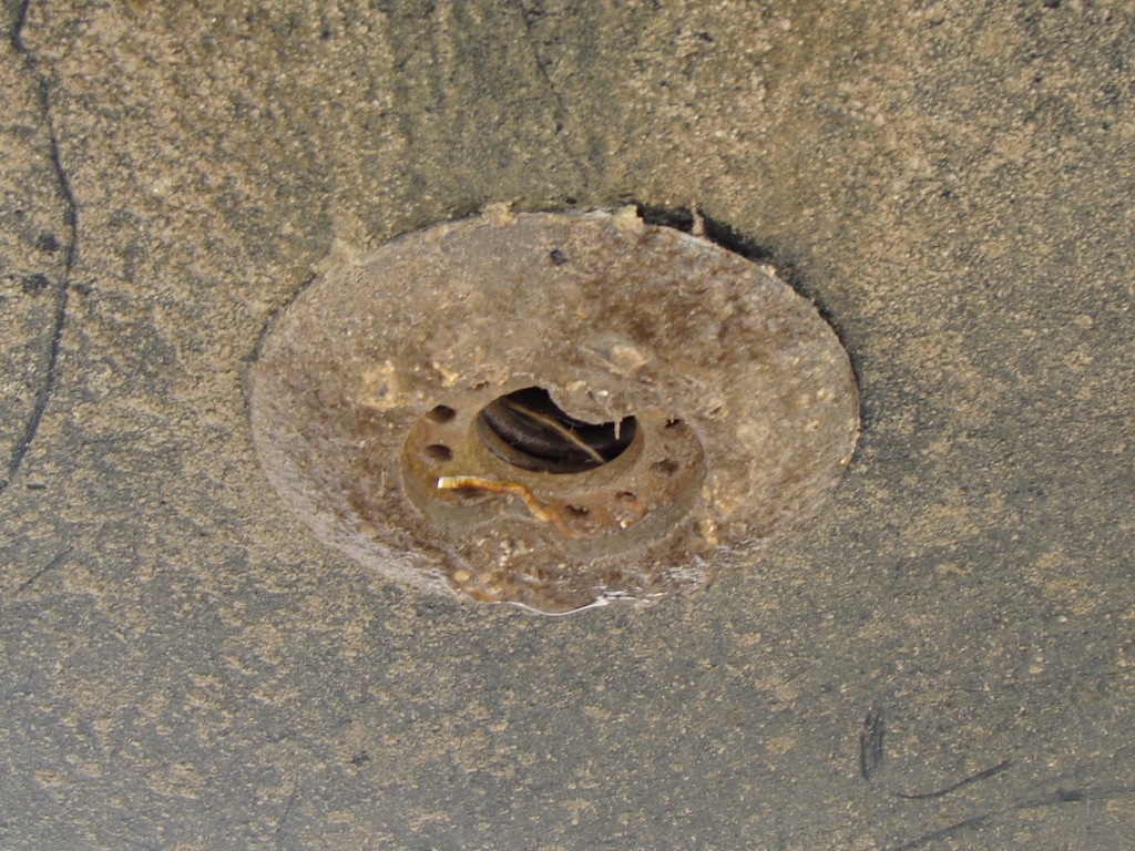 DSC00880_comp.JPG