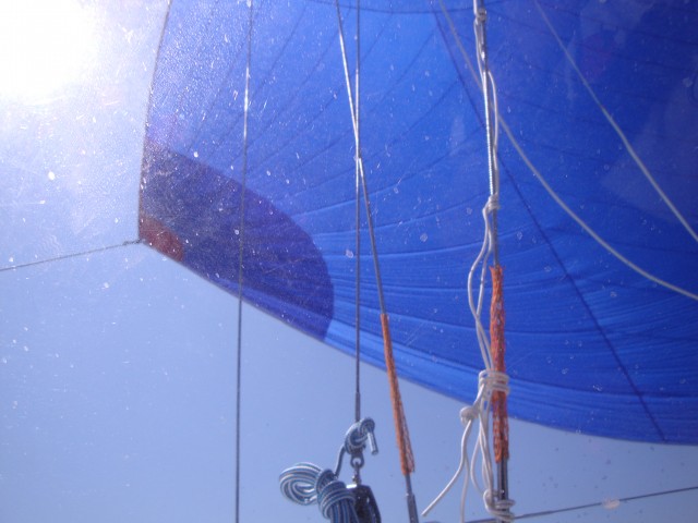 DSC00594.JPG