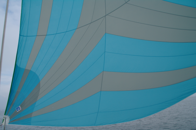 image12.png