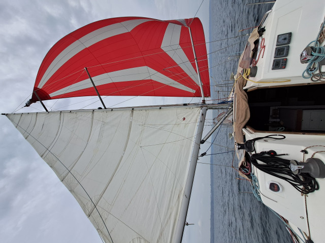 Spi asy tangonné_Dreamcatcher.jpg